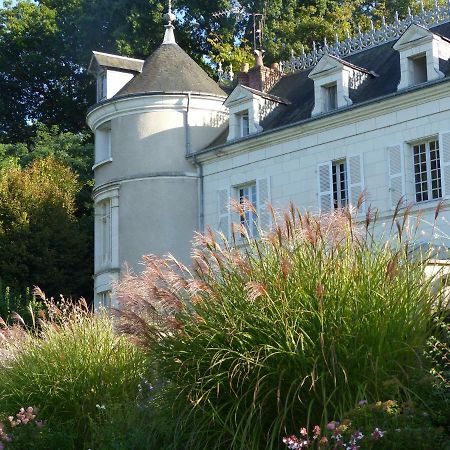 Bed and Breakfast Manoir De La Vigneraie Athée-sur-Cher Exteriér fotografie