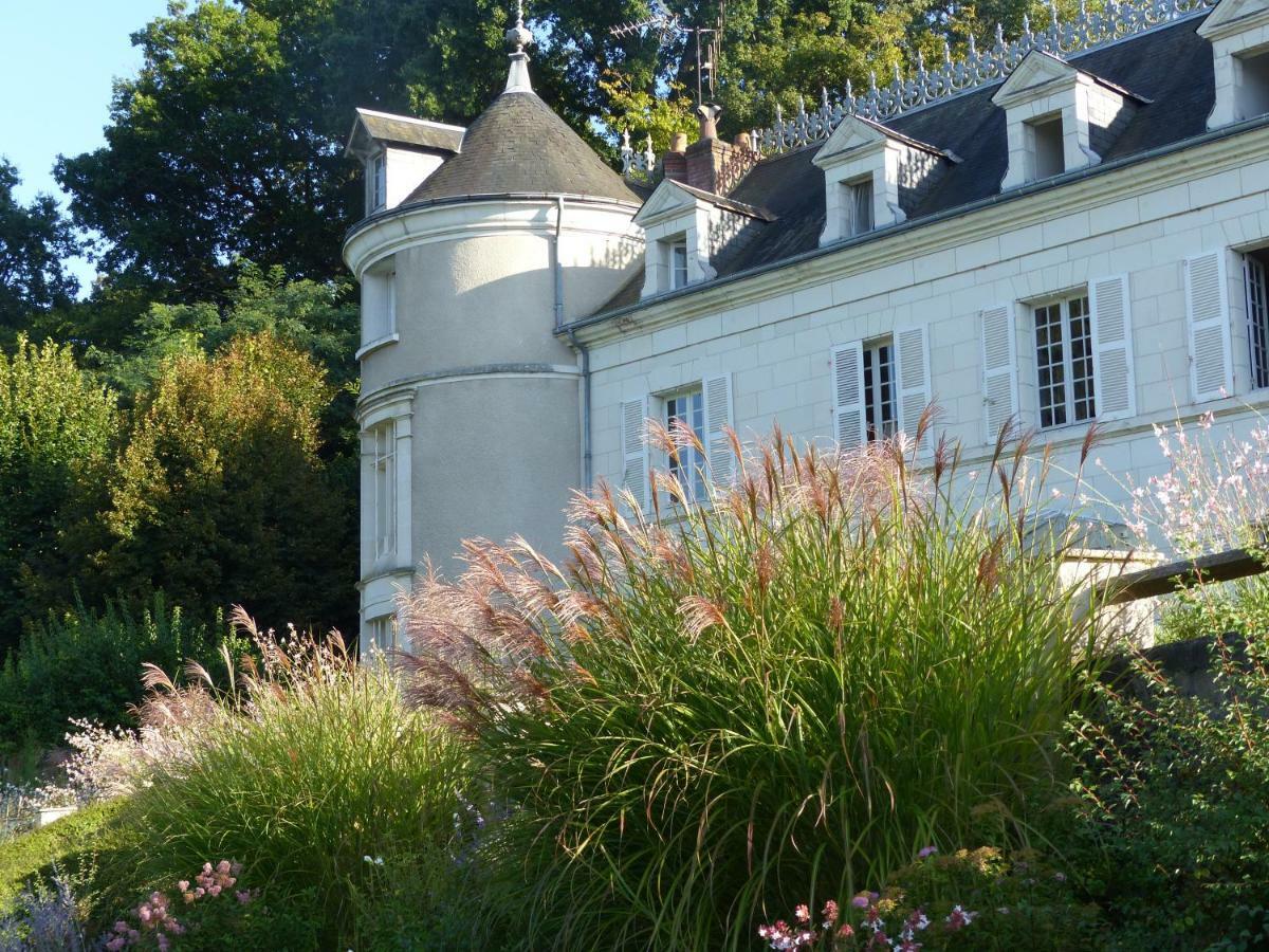 Bed and Breakfast Manoir De La Vigneraie Athée-sur-Cher Exteriér fotografie